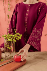 Sereia formal semi formal women dress inBurgandy maroon color