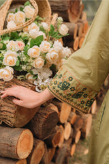 Sylvi 3Pc Embroidered Dress