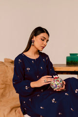Reemi Blue 2Pc Embroidered Dress