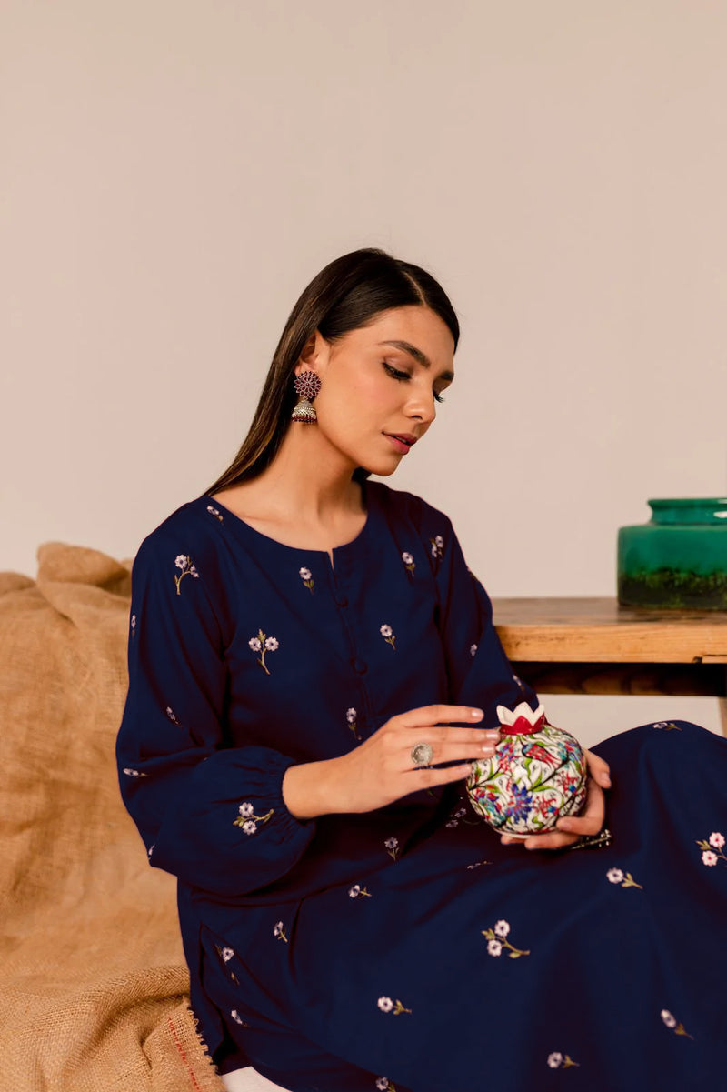 Reemi Blue 2Pc Embroidered Dress