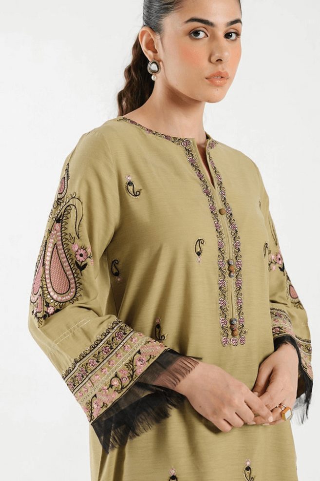 Embroidered sleeves detail on women kurta